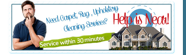 Cleaning Services